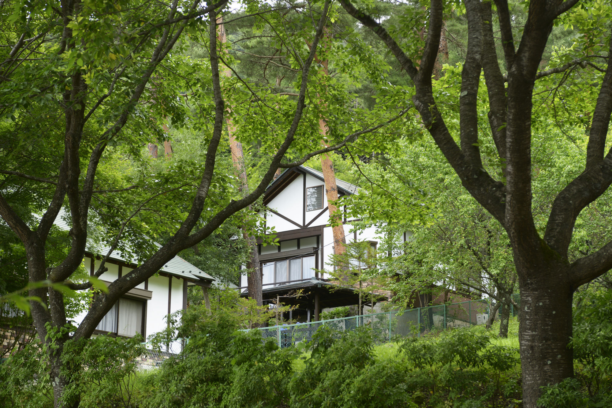 Kawaguchiko Country Cottage Ban Fujikawaguchiko Exteriör bild
