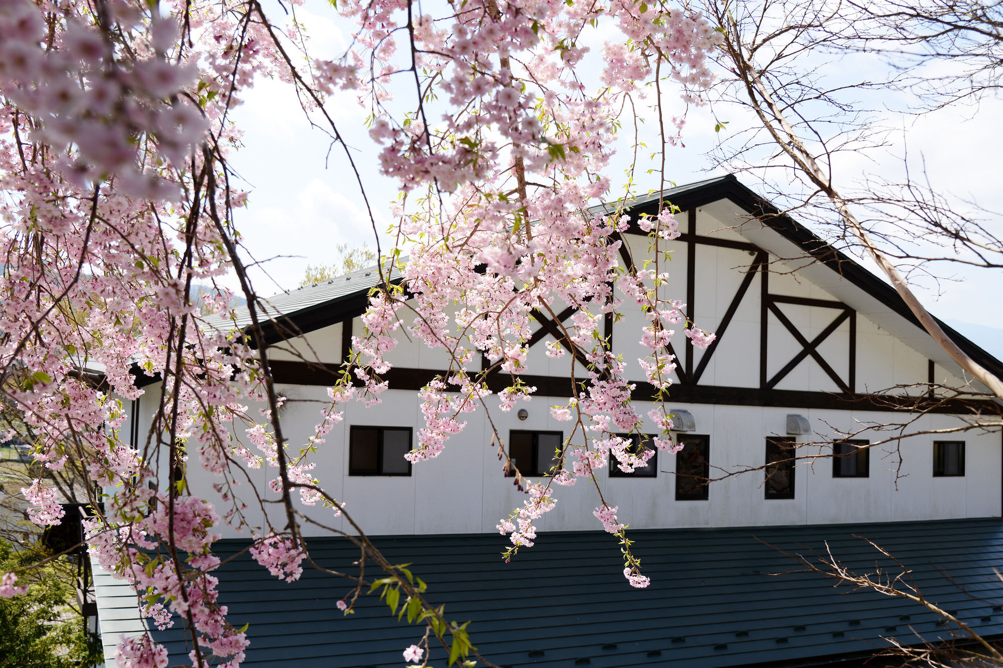 Kawaguchiko Country Cottage Ban Fujikawaguchiko Exteriör bild